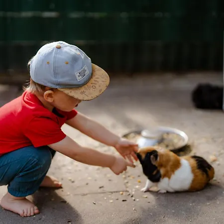 Alte Schule 2 Διαμέρισμα *