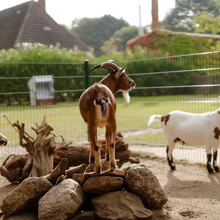 Alte Schule 2 Lejlighed