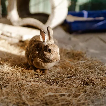 Alte Schule 2 Staberdorf