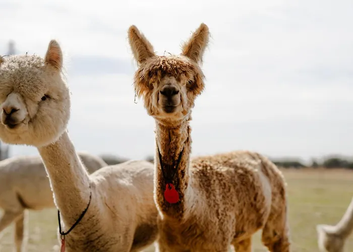 Alte Schule 2 Staberdorf