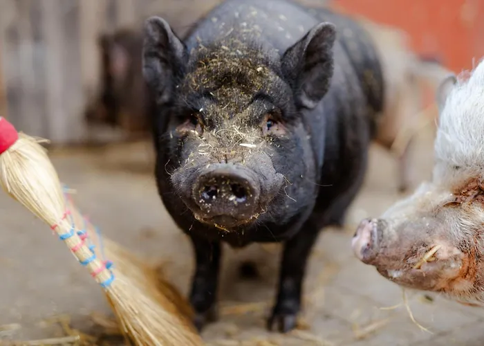 Alte Schule 2 * Staberdorf