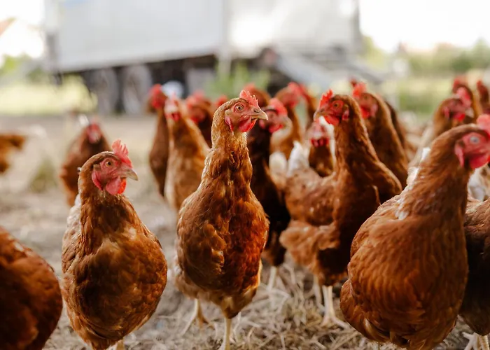 Alte Schule 2 Apartamento