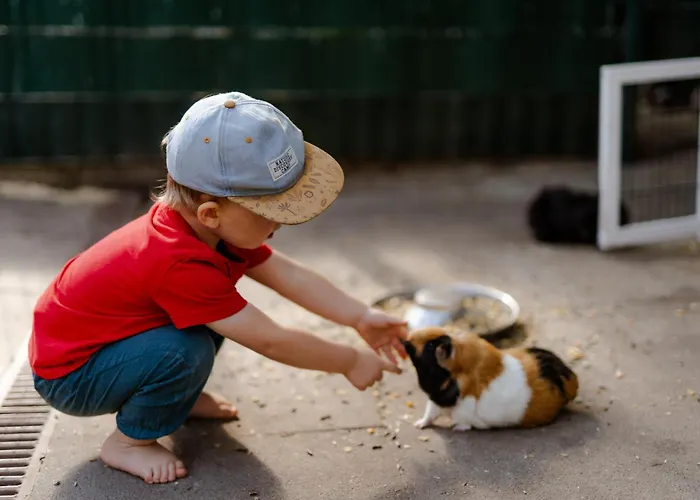 Alte Schule 2 Apartamento *