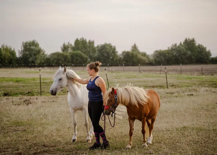 Alte Schule 2 Apartamento Staberdorf