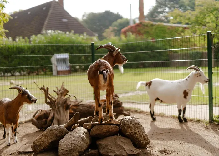 Alte Schule 2 Apartamento