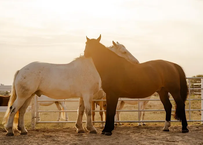 Alte Schule 2 Apartamento Staberdorf