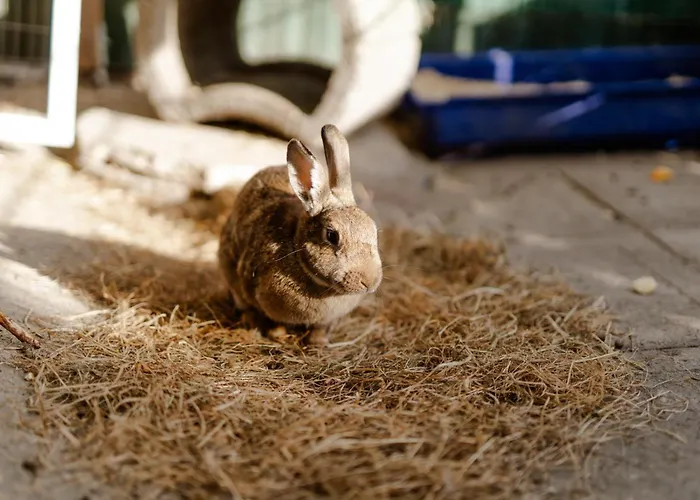 Alte Schule 2 Staberdorf