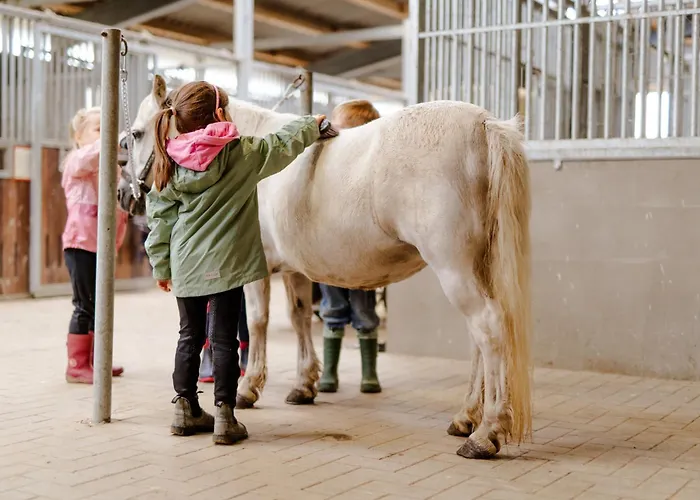 Alte Schule 2 Apartamento