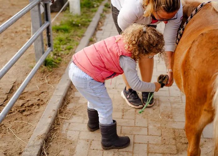Alte Schule 2 Apartamento Staberdorf