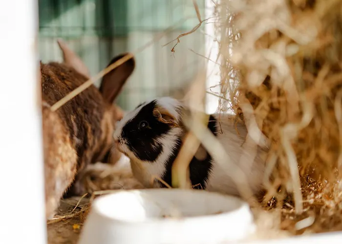 Apartamento Alte Schule 2